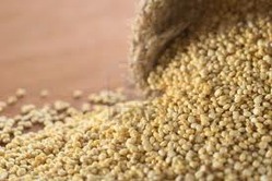 Manufacturers Exporters and Wholesale Suppliers of Cereal Jute Coimbatore Tamil Nadu